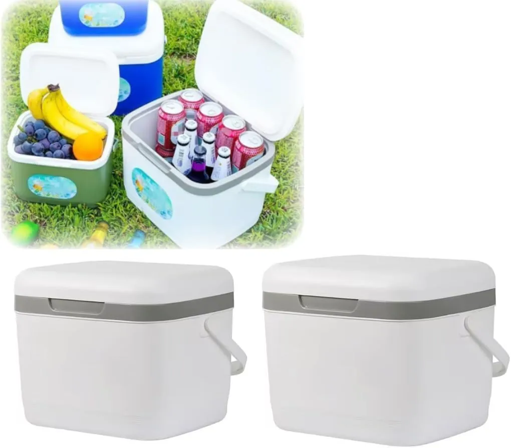 2 Pack 6 15 25 L Drybox Cooler and Small Hard Shell Lunchbox with Airtight Lid for Picnics Camping Beach Travel Fishing