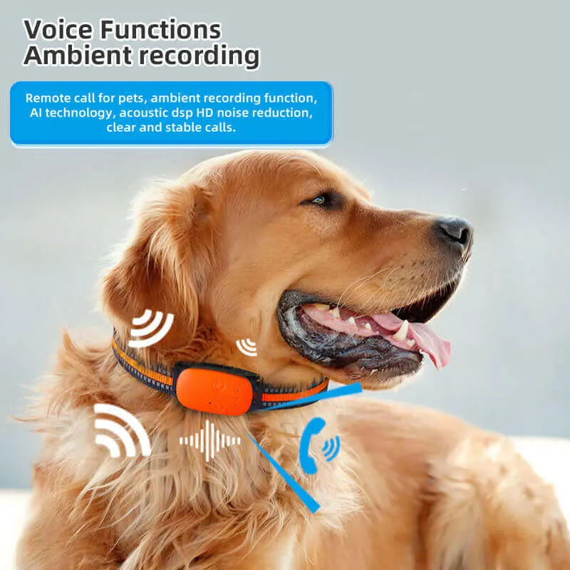 34G GPS Pet Tracker Collar – Waterproof Anti-Loss Locator for Cats, Dogs & Sheep with Beidou Positioning System