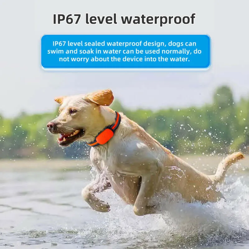 34G GPS Pet Tracker Collar – Waterproof Anti-Loss Locator for Cats, Dogs & Sheep with Beidou Positioning System