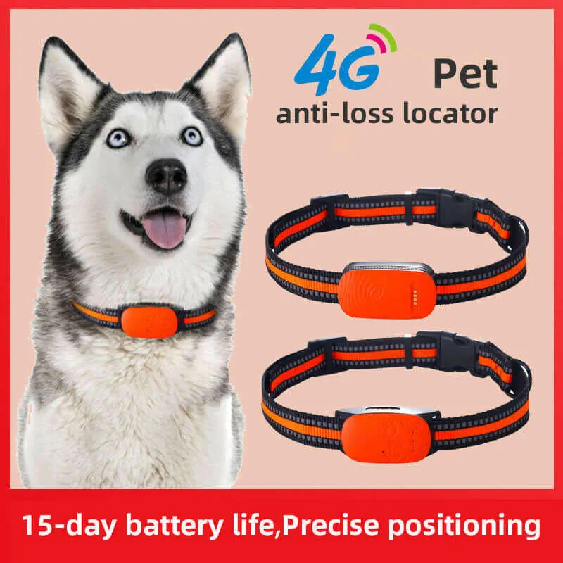 34G GPS Pet Tracker Collar – Waterproof Anti-Loss Locator for Cats, Dogs & Sheep with Beidou Positioning System