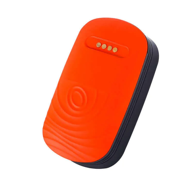 34G GPS Pet Tracker Collar – Waterproof Anti-Loss Locator for Cats, Dogs & Sheep with Beidou Positioning System