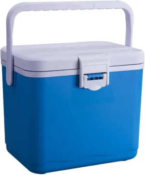4.5L Insulated Portable Cooler for Beach, Small Cooler for Ice Lunch Car Refrigerator Box with Heavy Duty Handle Great for Picnic Camping Tailgating Groceries Boating