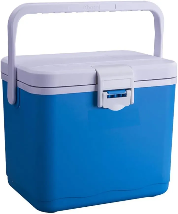 4.5L Insulated Portable Cooler for Beach, Small Cooler for Ice Lunch Car Refrigerator Box with Heavy Duty Handle Great for Picnic Camping Tailgating Groceries Boating