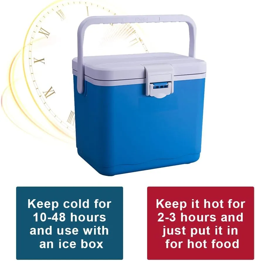 4.5L Insulated Portable Cooler for Beach, Small Cooler for Ice Lunch Car Refrigerator Box with Heavy Duty Handle Great for Picnic Camping Tailgating Groceries Boating