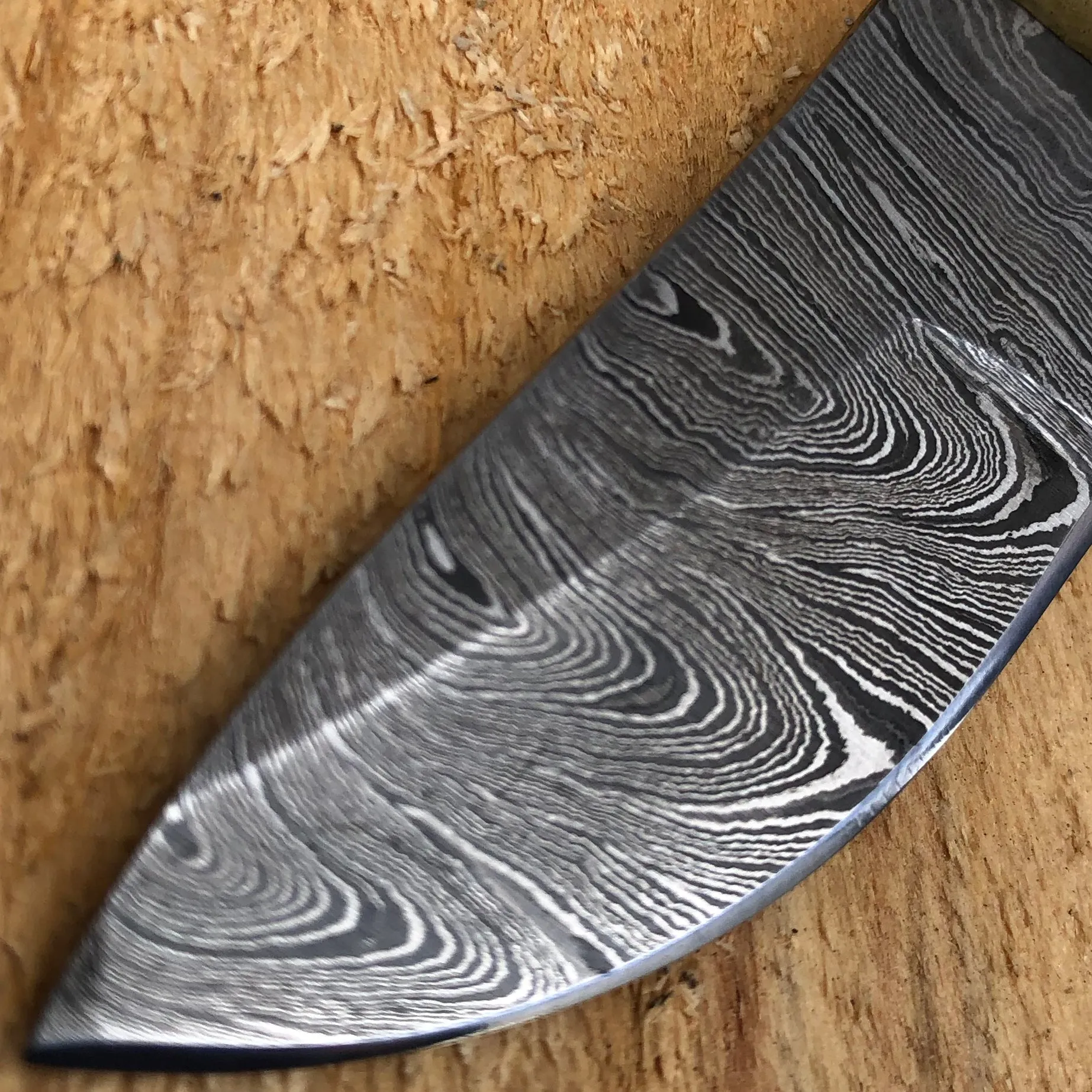 6" DAMASCUS FIXED BLADE Survival Skinner Camping Knife NEW