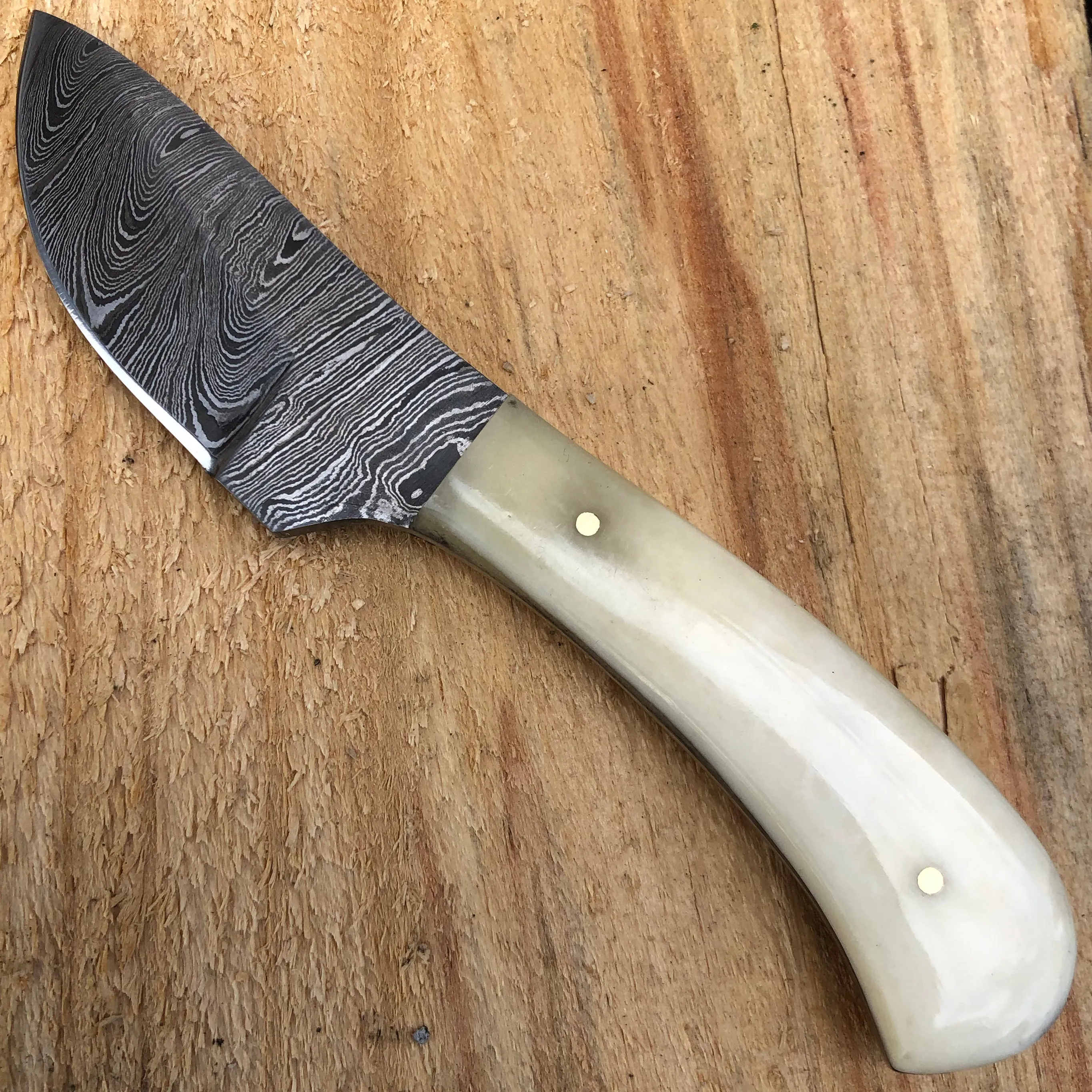 6" DAMASCUS FIXED BLADE Survival Skinner Camping Knife NEW