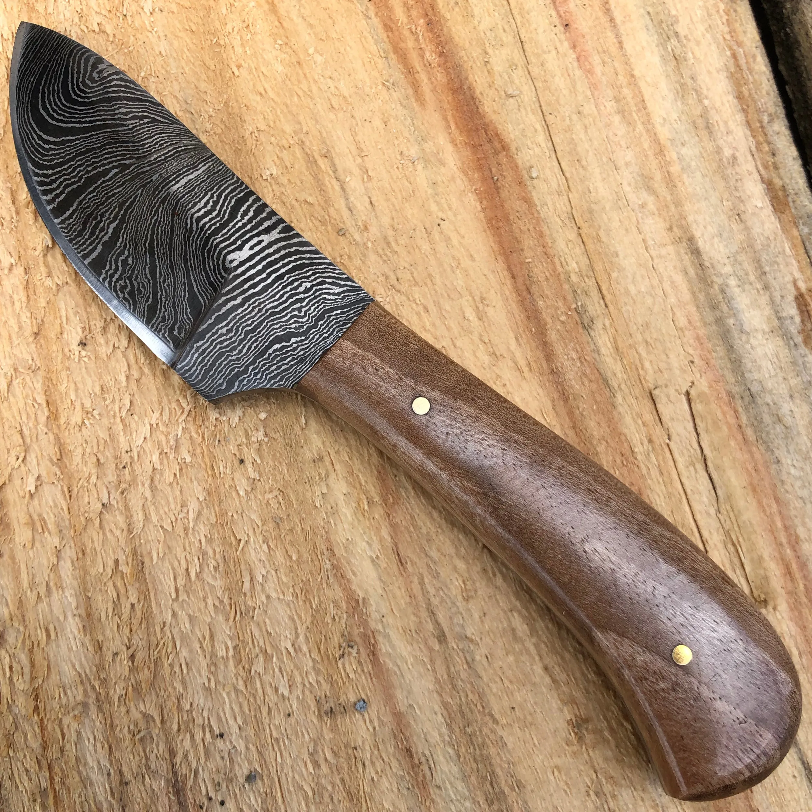 6" DAMASCUS FIXED BLADE Survival Skinner Camping Knife NEW