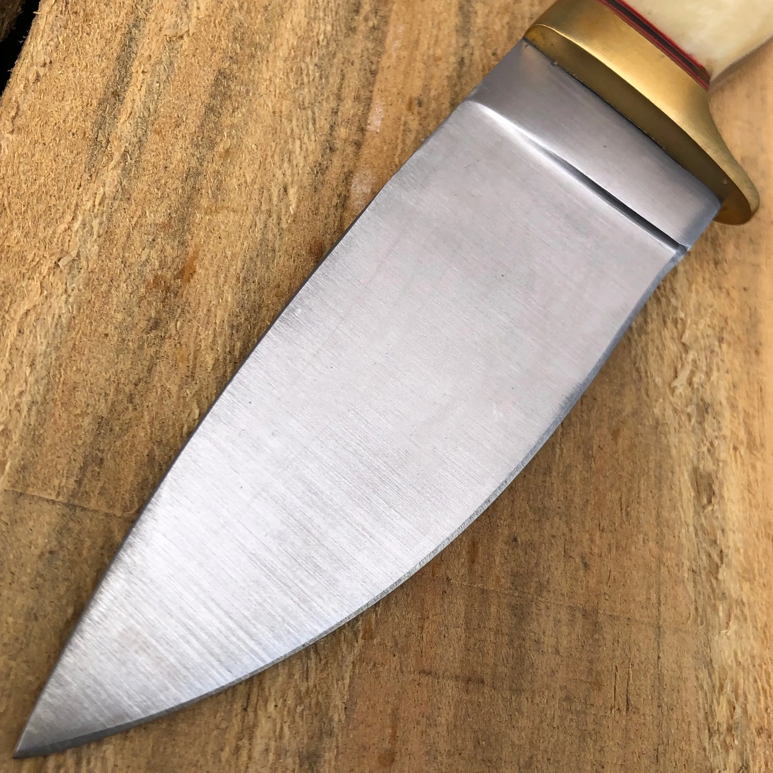 8" Survival FULL Tang Hunting FIXED BLADE Skinner Camping Drop Point Knife NEW
