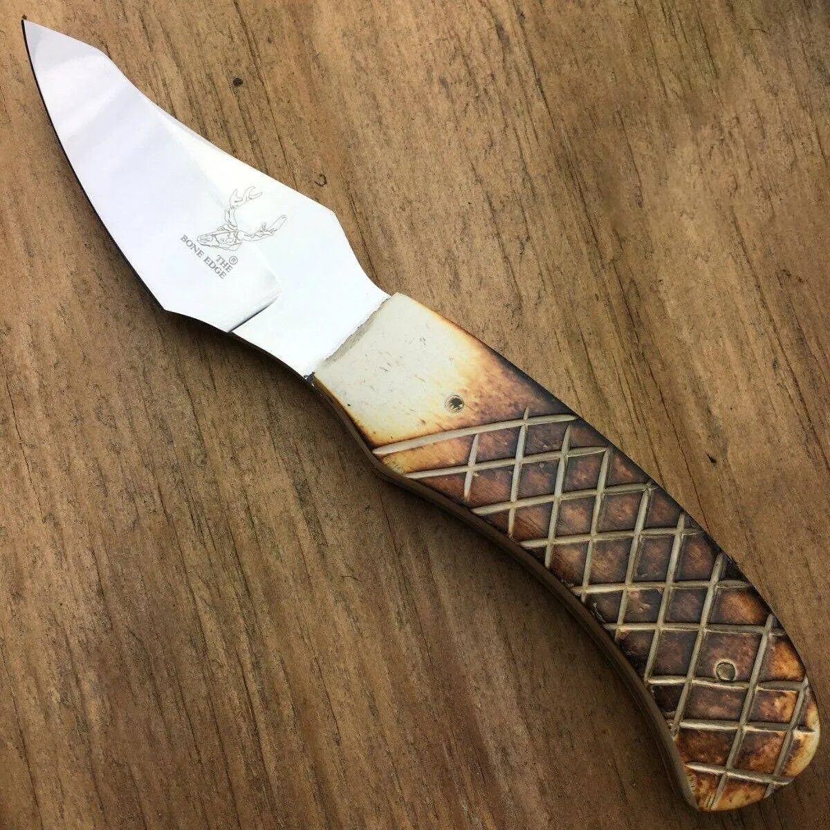 Bone Handle Knife for Hunting and Fishing