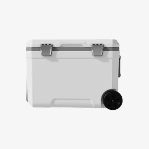 Car Camping Coolers for Mitsubishi L200/Lancer/Mirage/Outlander/Pajero, Waterproof Portable Cooler, Leak Proof Picnic Insulated Bag, Ultra-Light Premium Ice Chest Box,B-White-45L