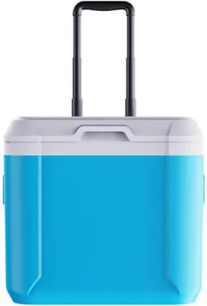 Car Camping Coolers for XPENG G3/XPENG G6/XPENG G9/XPENG P5/XPENG P7/XPENG P9, Leak Proof Cooler, Portable Lightweight Ice Chest Box, Compartments Waterproof Insulated Bag