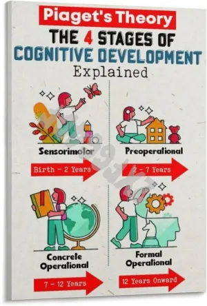 Child Development Stages Posters Piagets Stages Of Cognitive Wall Art (1) Canvas for Bedroom Living Room Decor 24x36inch(60x90cm) Frame-style