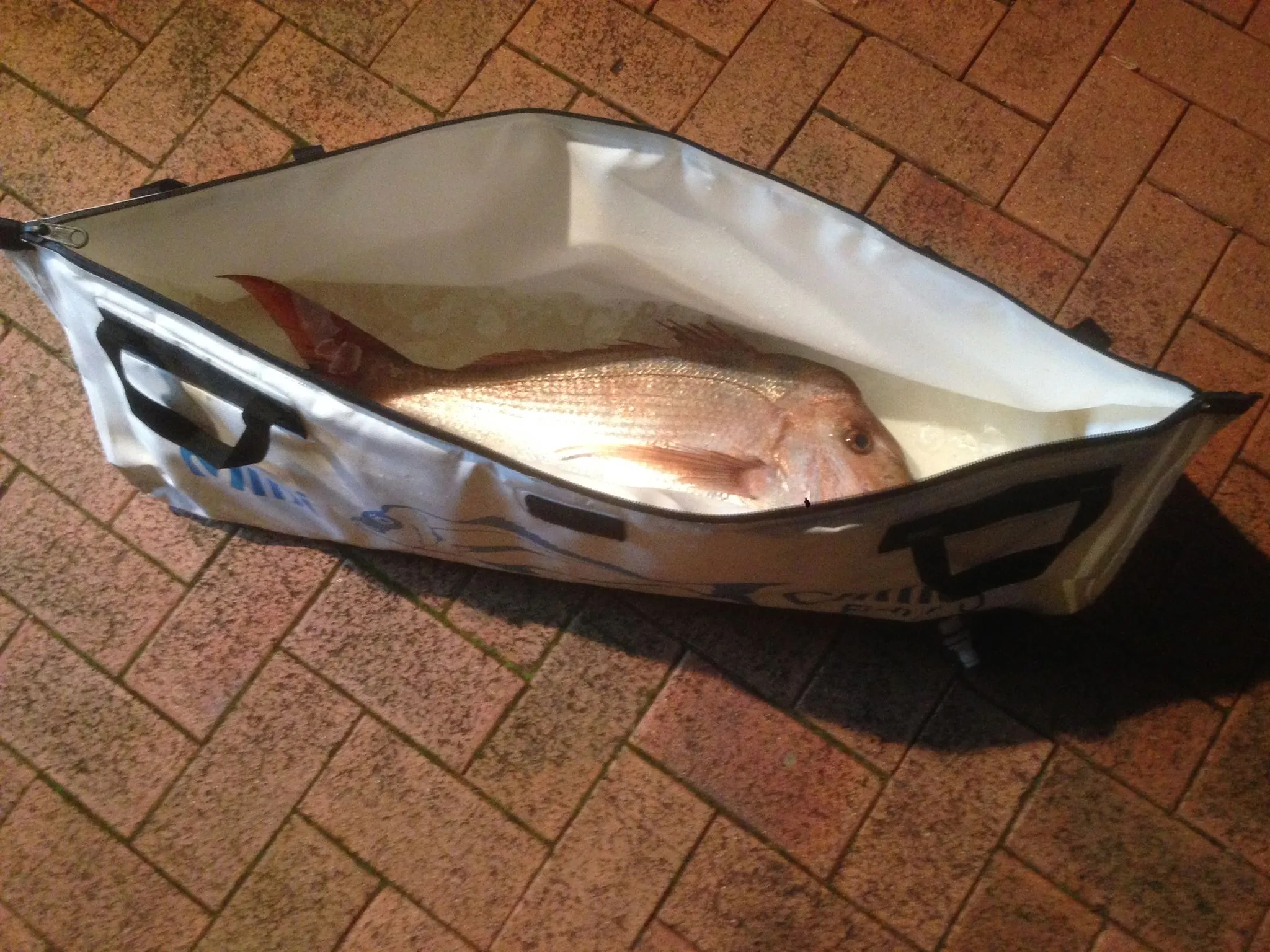 Chiller Fish Bags