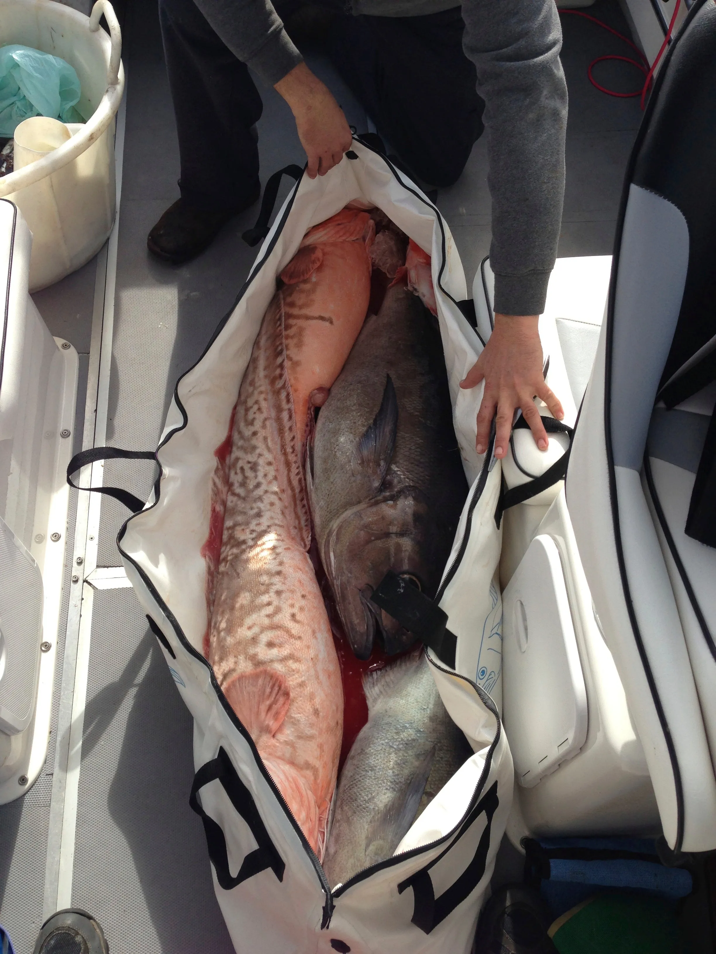 Chiller Fish Bags
