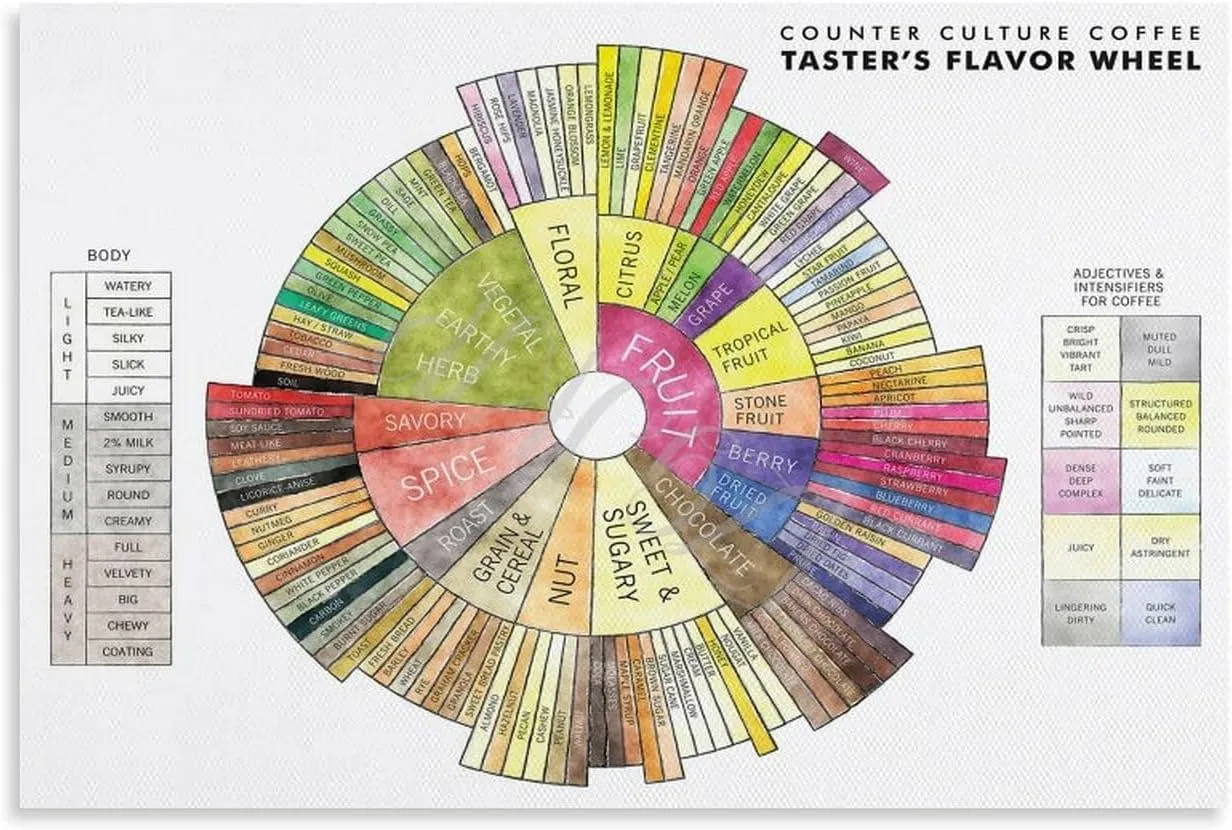 Coffee Taster Flavor Wheel Poster Coffee Knowledge Wall Art Posters(4) Canvas Painting Posters And Prints Wall Art for Living Room Bedroom Decor 36x24inch(90x60cm) Unframe-style