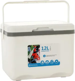 Cooler for Dodge Caravan/Coronet/Dart/Journey/Magnum/Nitro/Polara/Viper Insulated Hard Ice Box Large High-Performance Storage Box Portable Cool Picnic Box Festival Camping,A-31.5 * 23 * 25.5cm