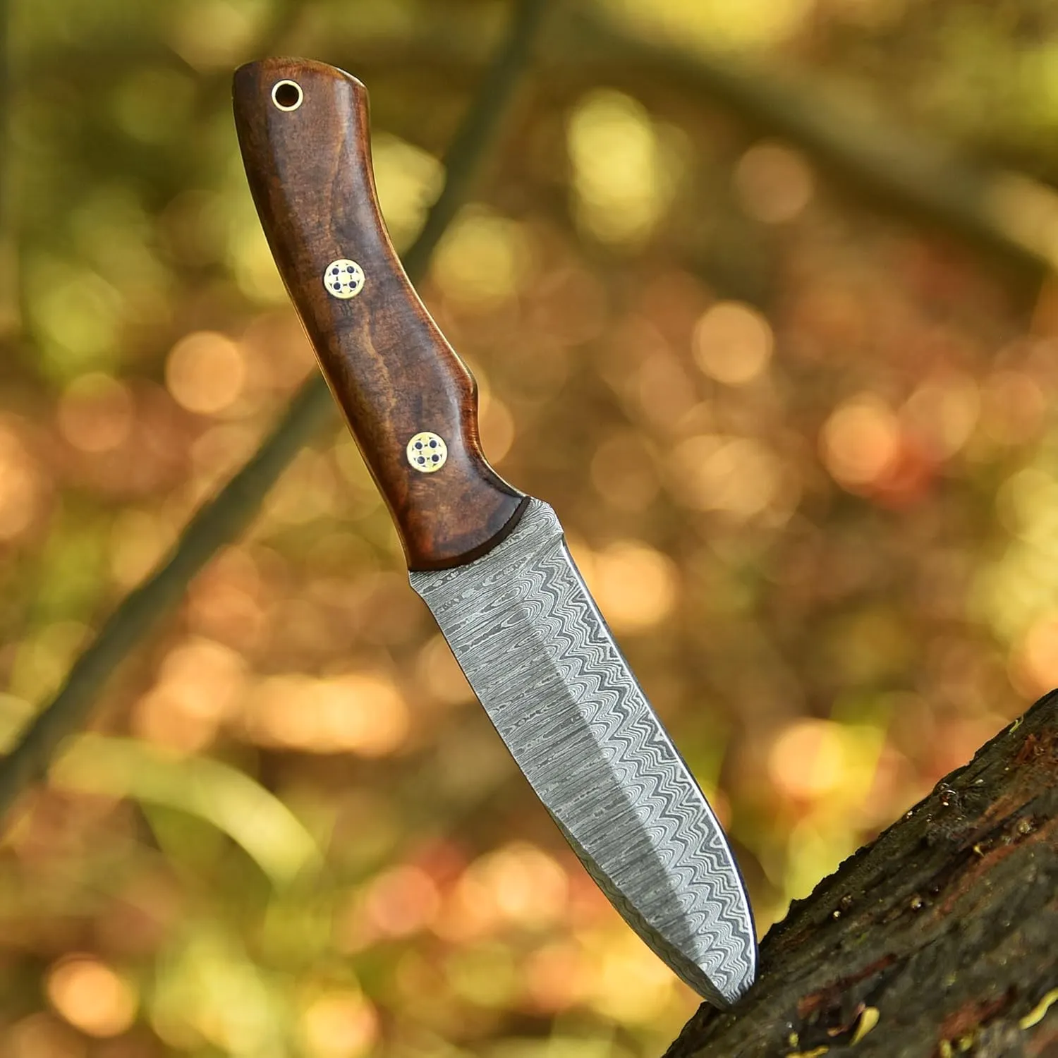Custom Handmade Fixed Blade Hunting Knife - 9 Inch hand Forged Full Tang Knives For Hunting, Outdoor Camping, Hiking, Fishing, Bushcraft Knives With Leather Sheath. (Damascus-2)