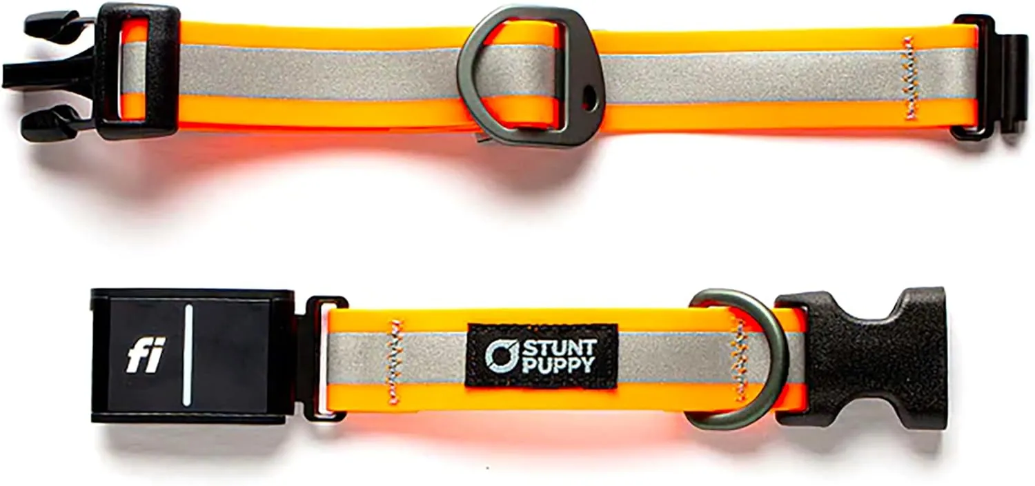 Dog Collar, Fi Series 3 Ready, Small, Reflective Orange - Compatible with Fi GPS Device (Not Included)