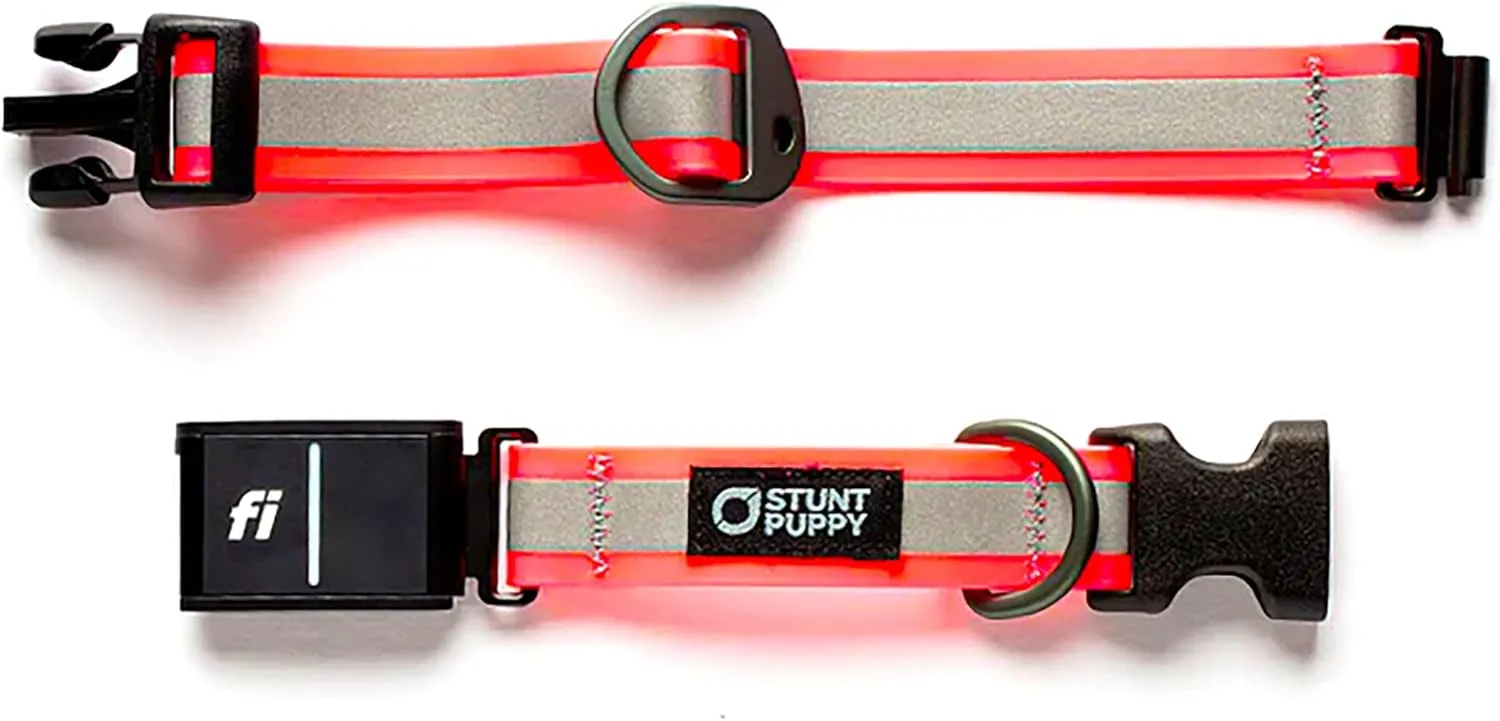 Dog Collar, Fi Series 3 Ready, Small, Reflective Pink - Compatible with Fi GPS Device (Not Included)