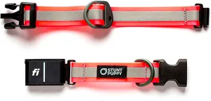 Dog Collar, Fi Series 3 Ready, Small, Reflective Pink - Compatible with Fi GPS Device (Not Included)