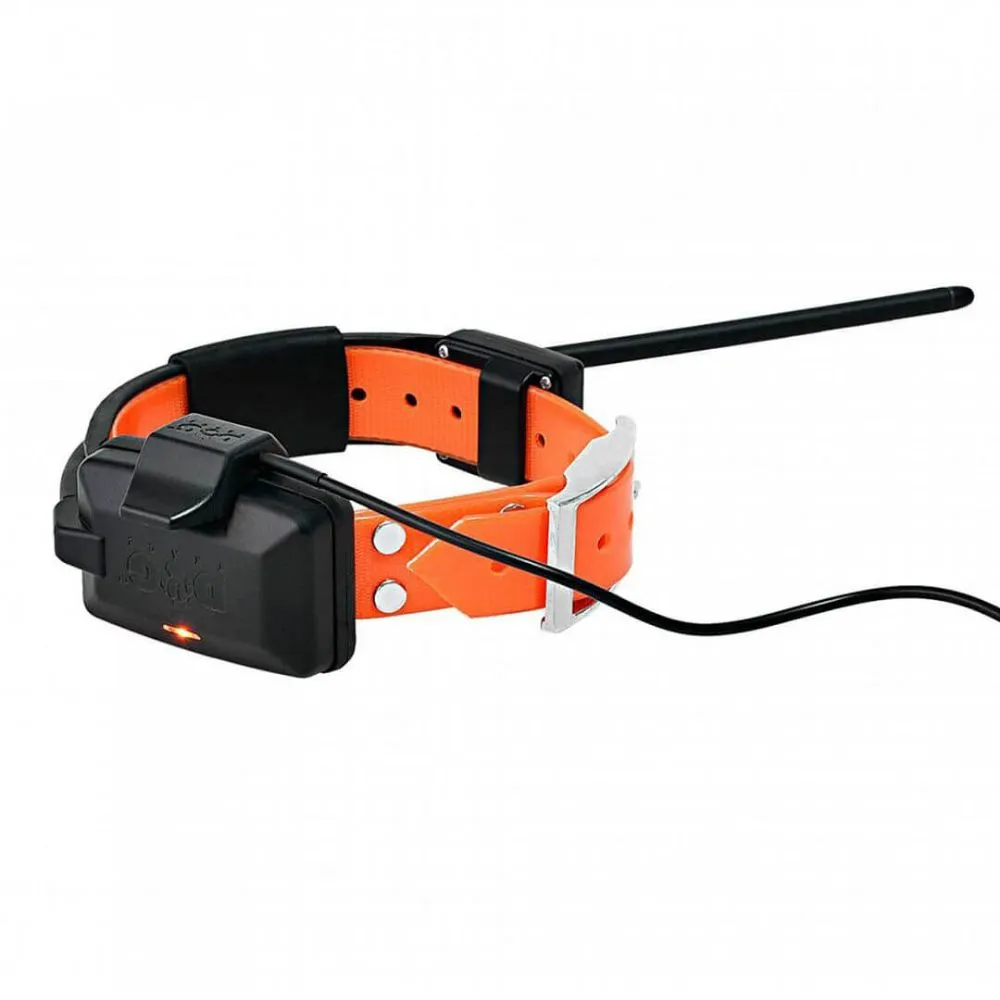 Dog Trace | Tracking system DOG GPS X25 | Orange