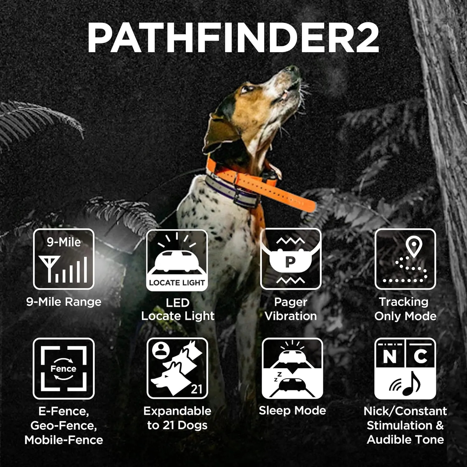 Dogtra Pathfinder 2 Additional Dog Tracking & Training Receivers for Dogs 25 lbs. and Up