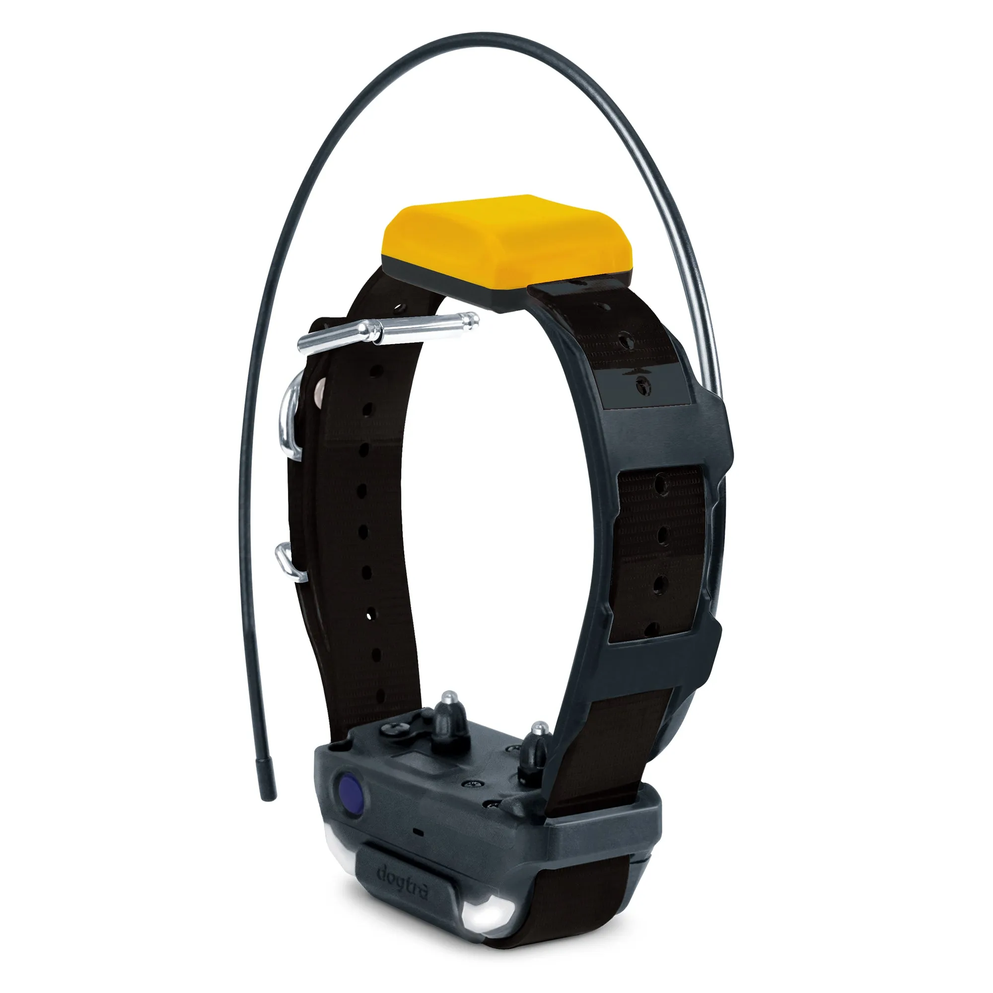 Dogtra Pathfinder 2 Additional Dog Tracking & Training Receivers for Dogs 25 lbs. and Up