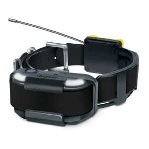 Dogtra Pathfinder 2 Additional Dog Tracking & Training Receivers for Dogs 25 lbs. and Up