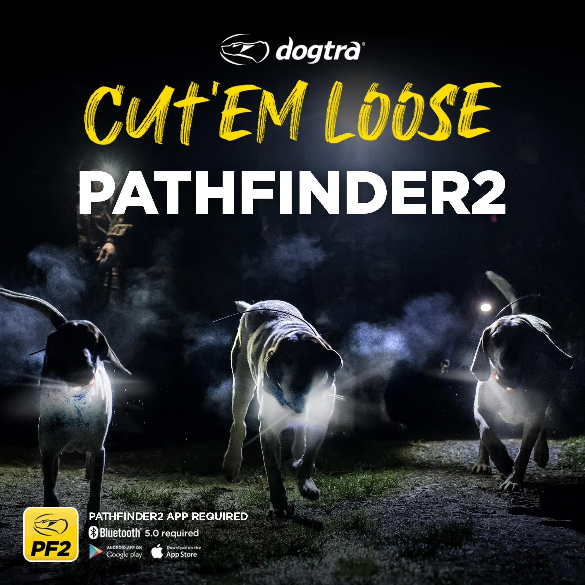 Dogtra Pathfinder 2 Additional Dog Tracking & Training Receivers for Dogs 25 lbs. and Up
