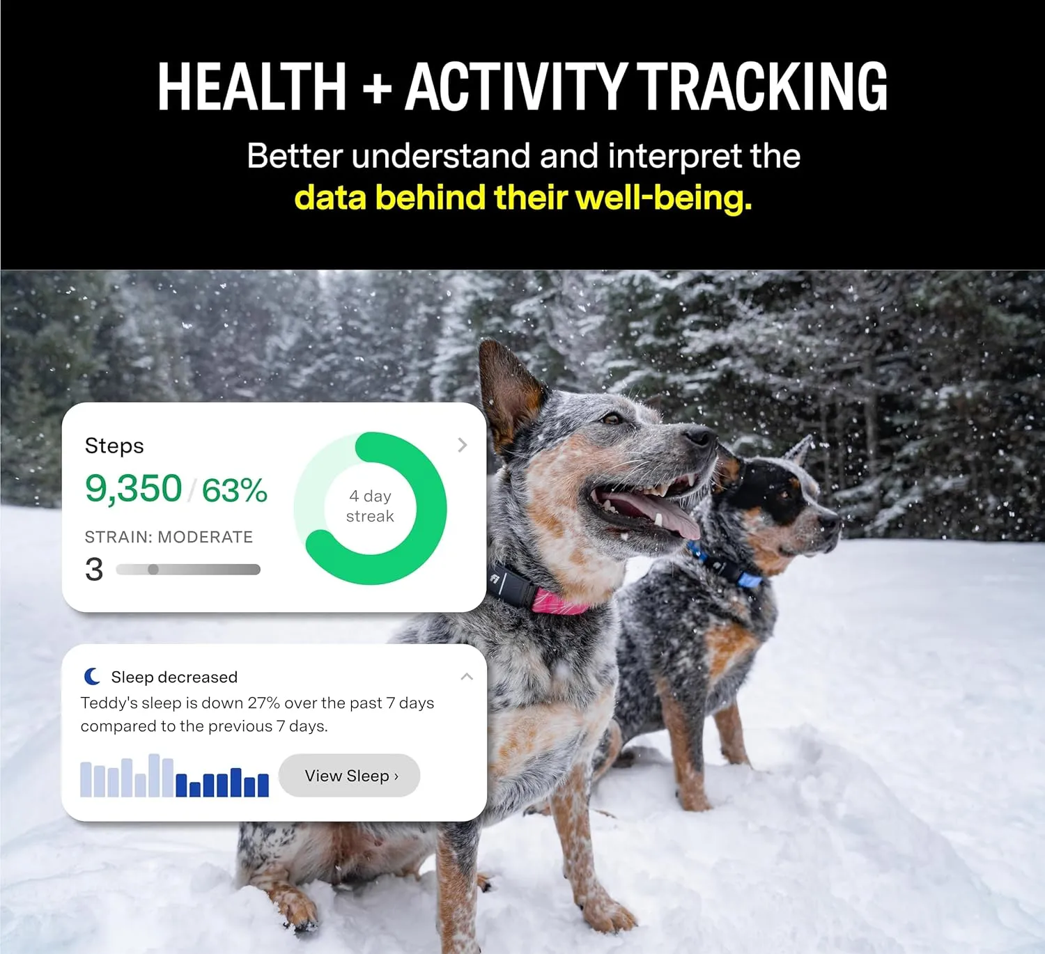 Fi Series 3 Smart Dog Collar - GPS Dog Tracker and Activity & Fitness Monitor, Waterproof, LED Light, Escape Alerts, Nationwide Coverage [Free 6 Month Membership] (Blue, Medium)