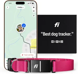 Fi Series 3 Smart Dog Collar - GPS Dog Tracker and Activity & Fitness Monitor, Waterproof, LED Light, Escape Alerts, Nationwide Coverage [Free 6 Month Membership] (Pink, Large)