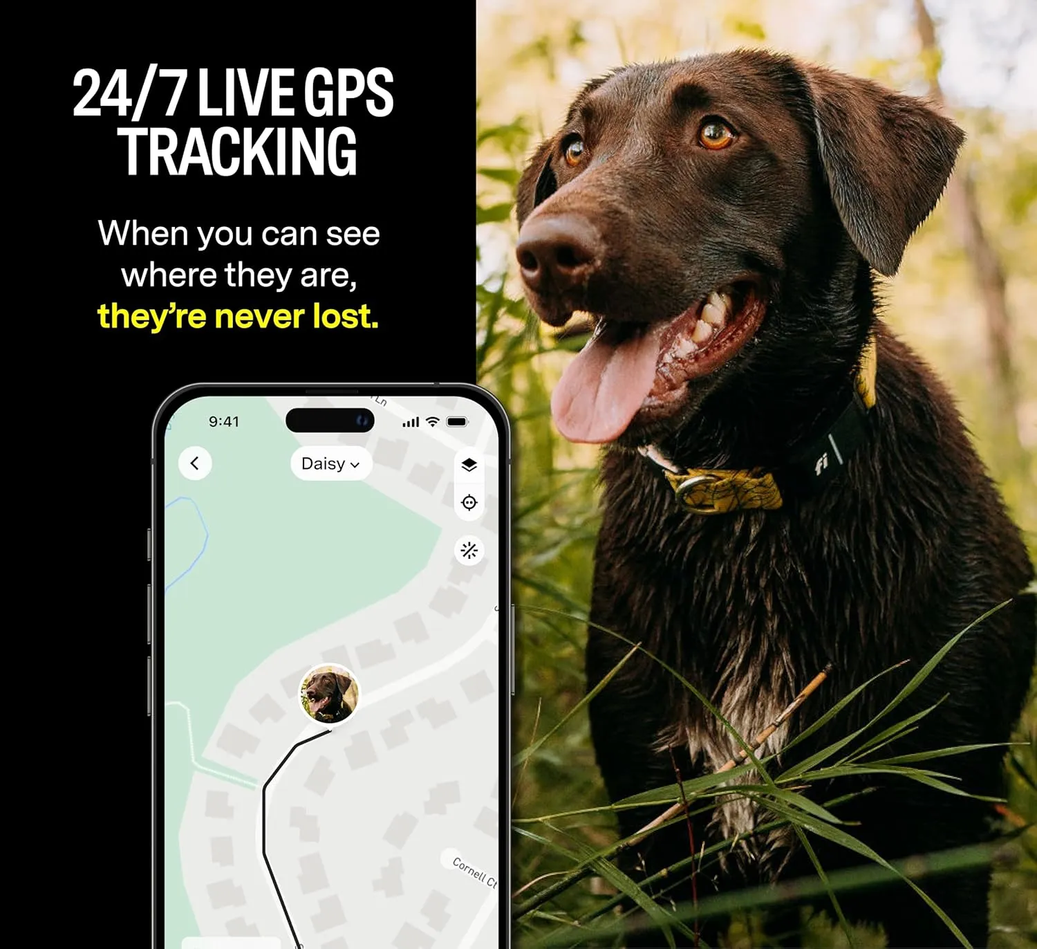Fi Series 3 Smart Dog Collar - GPS Dog Tracker and Activity & Health Monitor, Waterproof, LED Light, Escape Alerts, Nationwide Coverage [Free 1 Year Membership] (Blue, Medium)