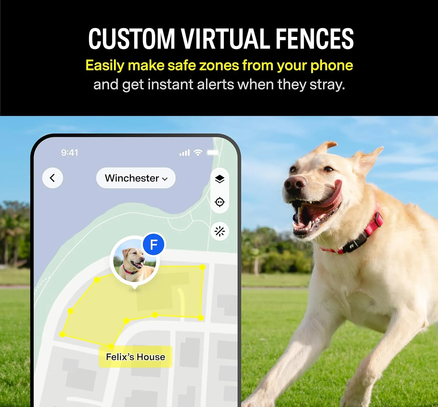 Fi Series 3 Smart Dog Collar - GPS Dog Tracker and Activity & Health Monitor, Waterproof, LED Light, Escape Alerts, Nationwide Coverage [Free 1 Year Membership] (Blue, Medium)