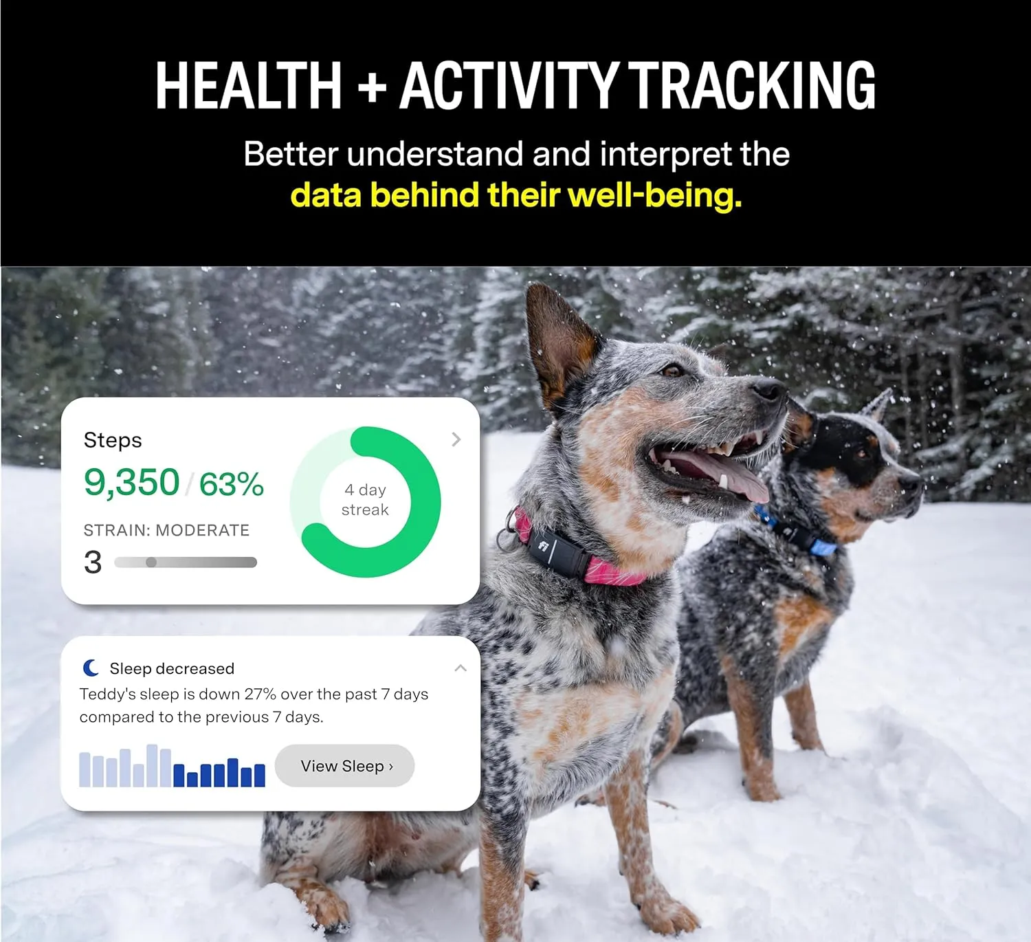 Fi Series 3 Smart Dog Collar - GPS Dog Tracker and Activity & Health Monitor, Waterproof, LED Light, Escape Alerts, Nationwide Coverage [Free 1 Year Membership] (Blue, Medium)