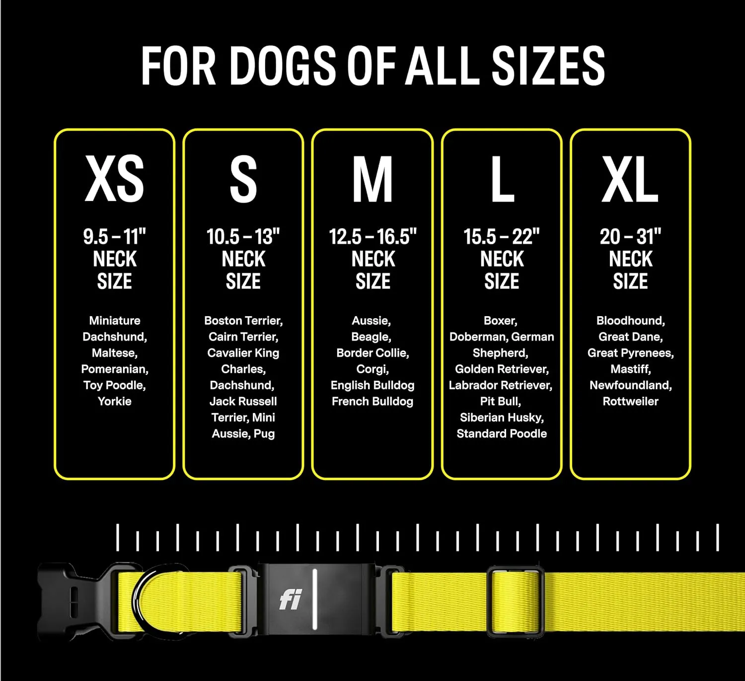 Fi Series 3 Smart Dog Collar - GPS Dog Tracker and Activity & Health Monitor, Waterproof, LED Light, Escape Alerts, Nationwide Coverage [Free 1 Year Membership] (Blue, Medium)