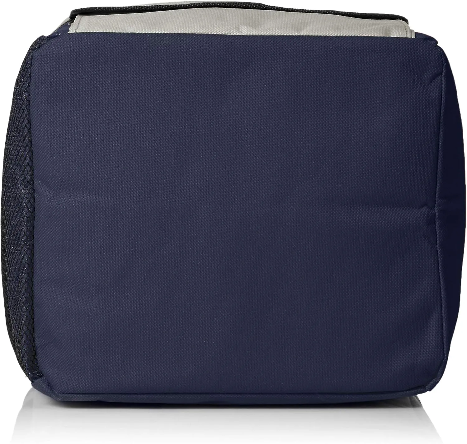 FOCO NFL Unisex-Adult NFL Team Logo All Star Bungie Cooler