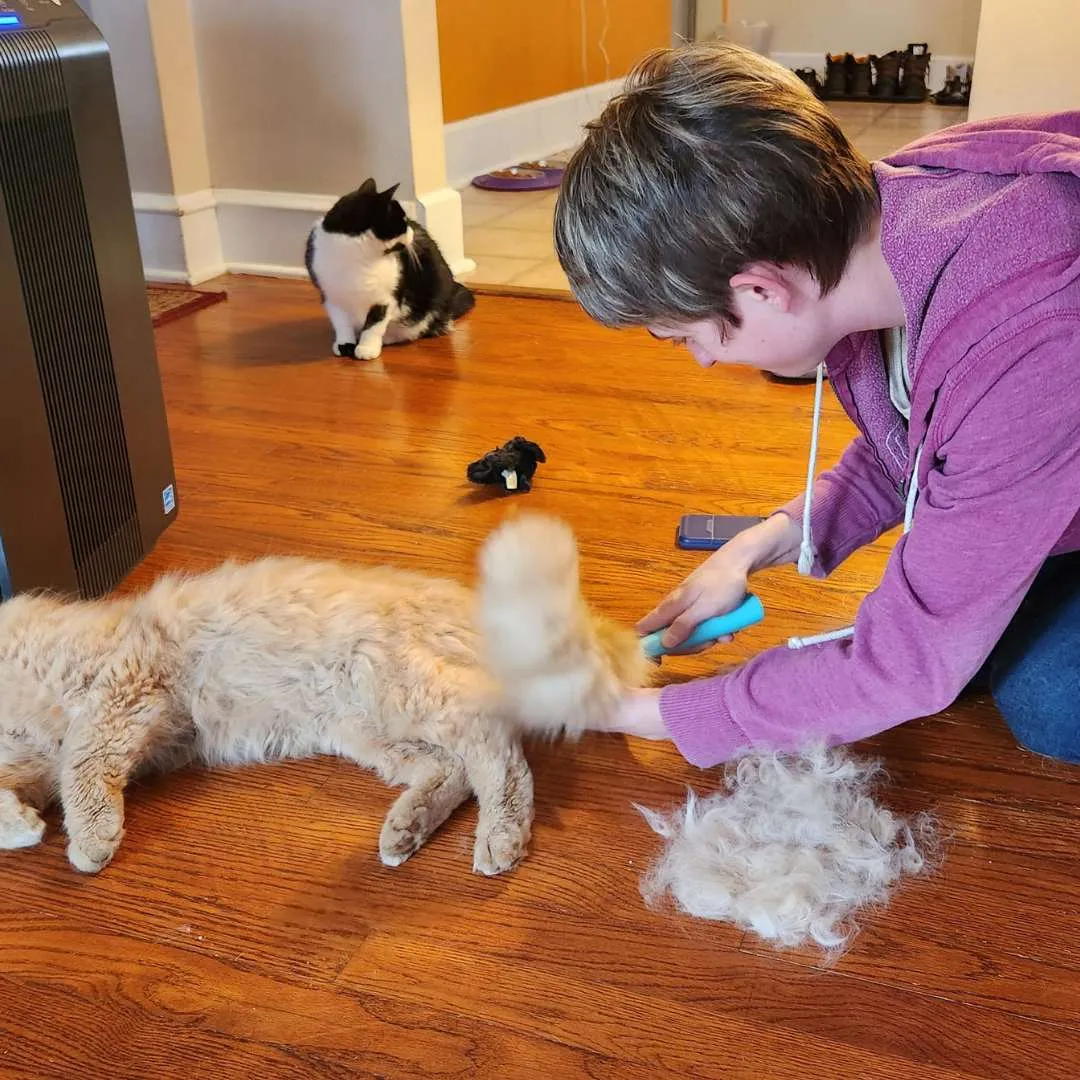 Fur-pocalypse Survival Kit - The Complete Uproot Package™