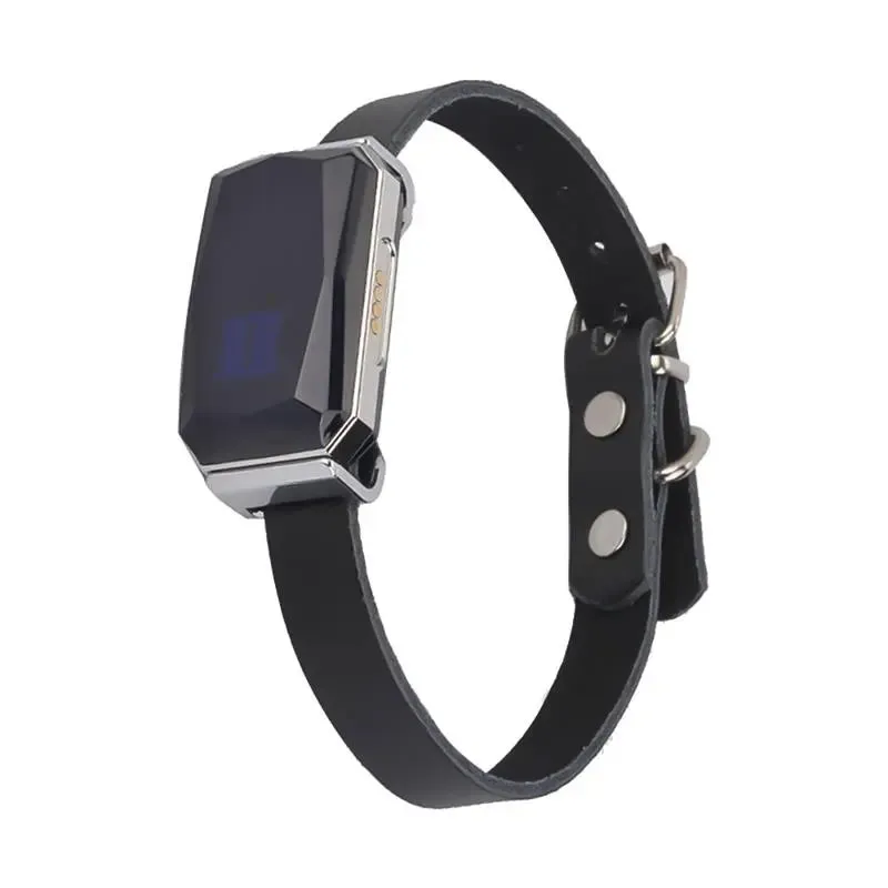 G12 GPS Smart Waterproof Pet Locator Universal Waterproof GPS Location Collar For Cats And Dogs  Positioning Tracker Locating