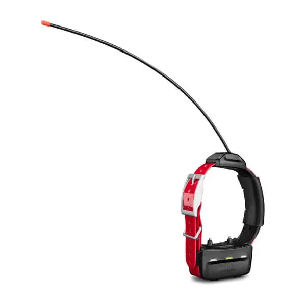 Garmin TT™ 15X Dog Tracking & Training Collar