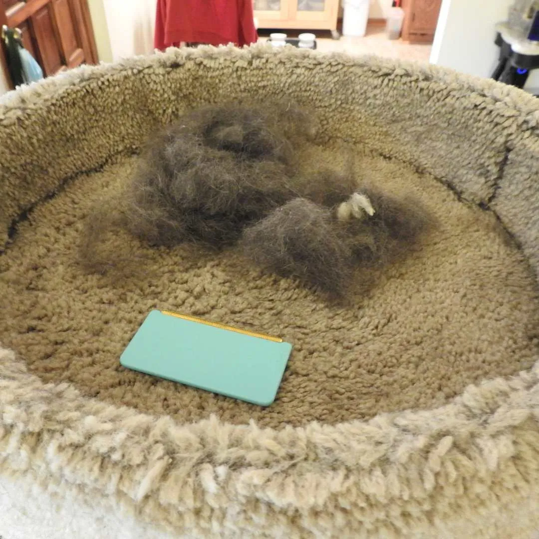 Hairmageddon Survival Kit - All Uproot Cleaners™