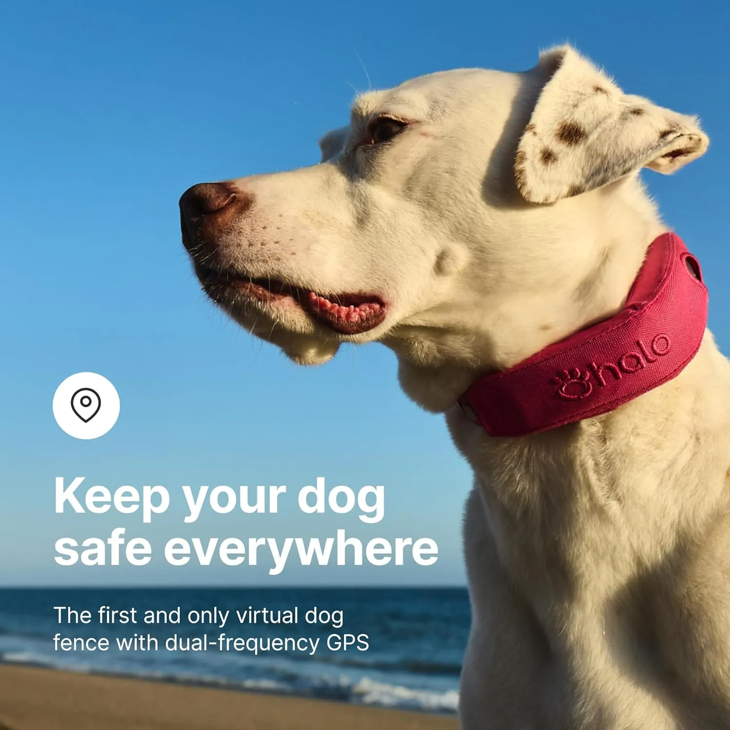Halo Collar 4, All New GPS Wireless Dog Fence & Dog Training Collar with GPS Tracker, Subscription Required, Waterproof, One Size, Sunburst