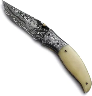 Handmade Damascus Folding Pocket Bowie Knife for Hunting,Survival,Camping,Bushcraft and Fishing with Drop Point -Full Tang Bone Handle with CowHide-Leather Sheath WFD-2533