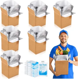 Honoson 6 Pack Insulated Shipping Box with Aluminum Foil Liner and Reusable Ice Pack for Shipping Reusable Cold Pack Shipping Container for Hot Frozen Food Shipper Cooler Box for Mailing Moving