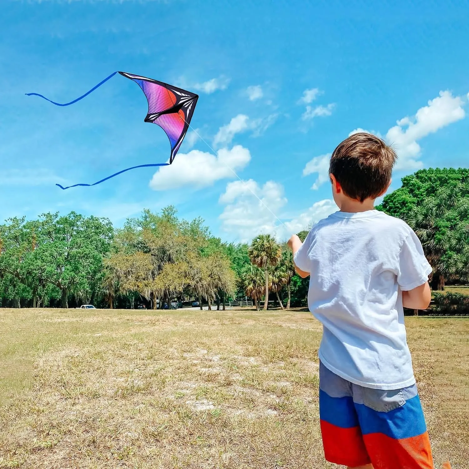 Hoofer Large Beach Kite and Reel Winder with 650ft String for Kids and Adults, Single Line Kite, Extremely Easy to Fly for Beginners