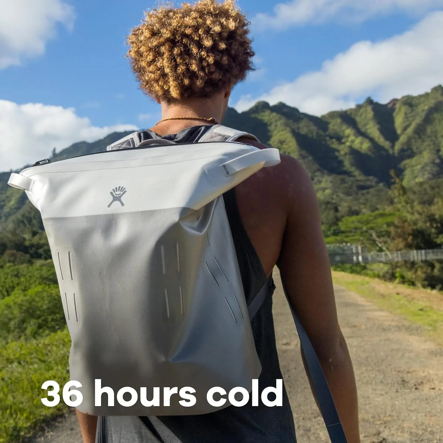 Hydro Flask 20 L Day Escape Soft Cooler - Reusable Travel Backpack - Insulated - Talus
