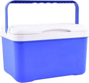 Insulated Cooler Box Cold Hot Preservation Cooler with Handle Beverage Storage Organizer Ice Chest for Fishing Sport Drink