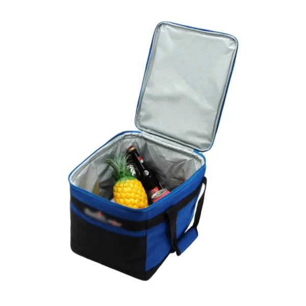 Insulated Lunch Cooler