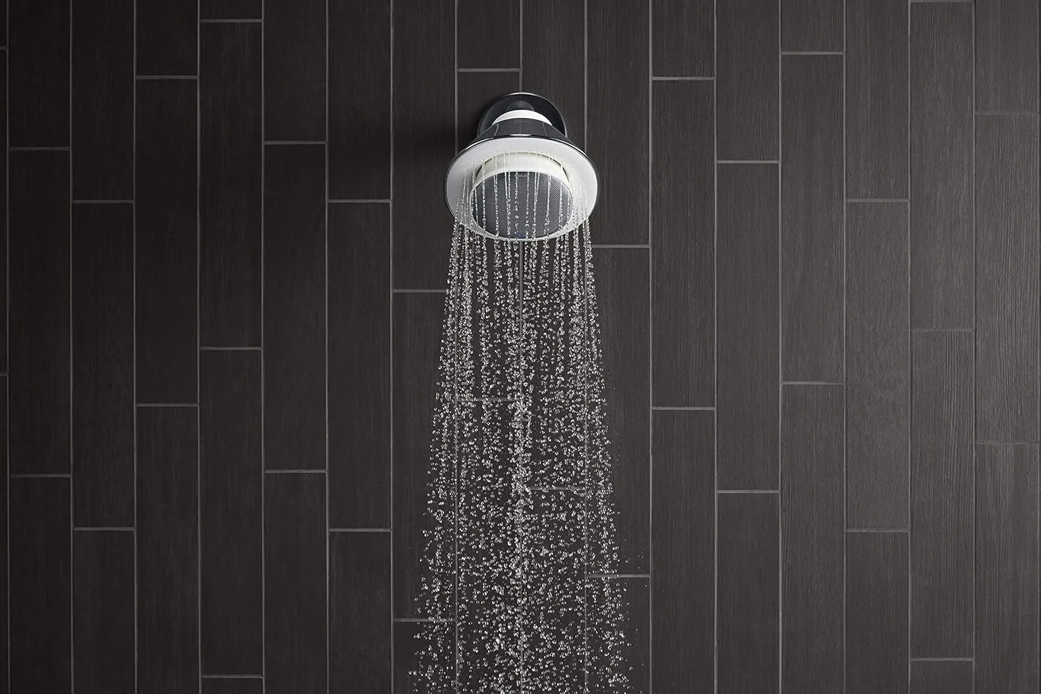 Kohler Moxie Showerhead and Waterproof Bluetooth Wireless Speaker, 2.5 gpm - Polished Chrome