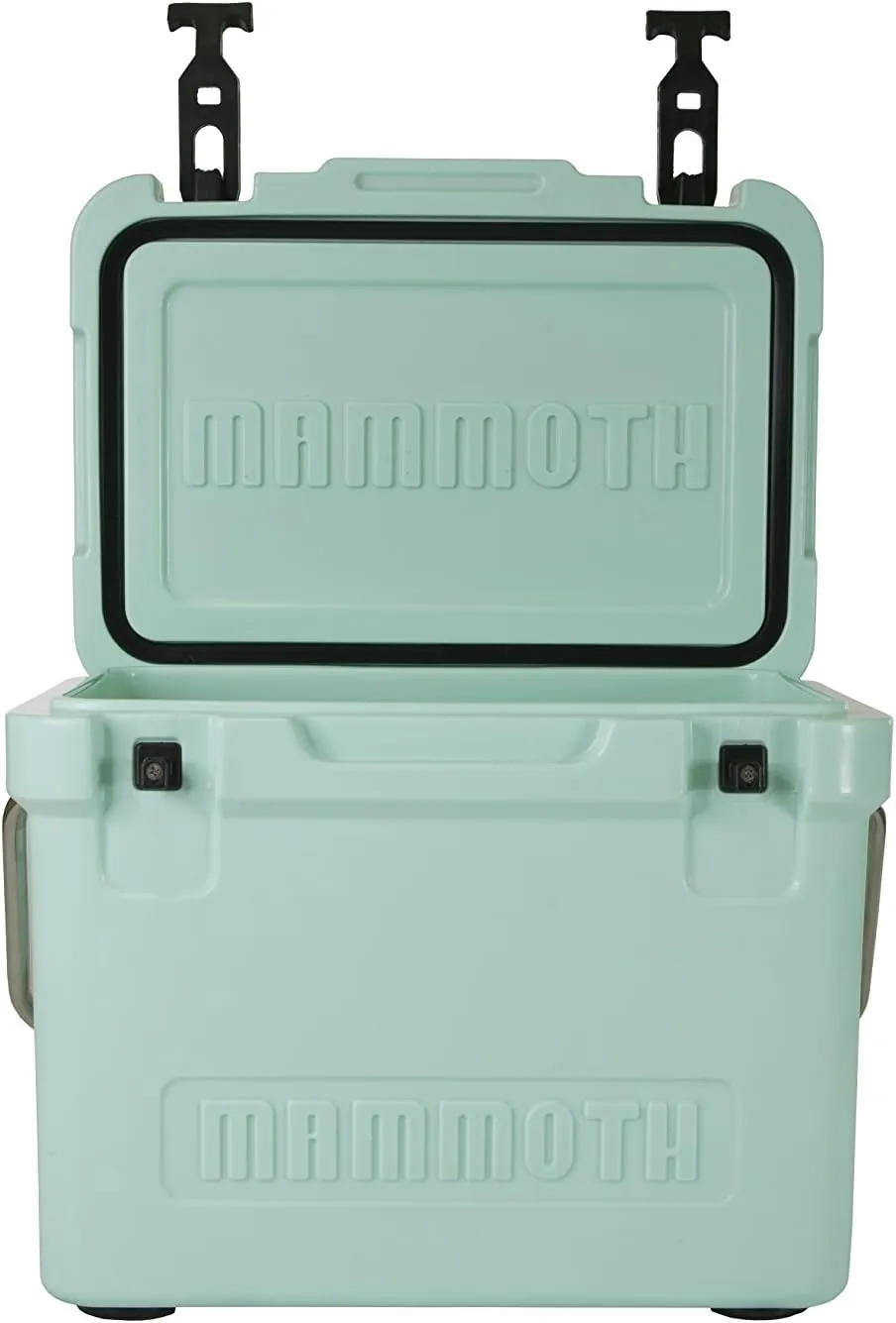 Mammoth Coolers Cruiser Series, Insulated Hard Ice Chest with Durable Double-Walled Rotomolded Construction, Great for On-The-Go Recreational Activities (Cruiser 20, Seafoam Green)