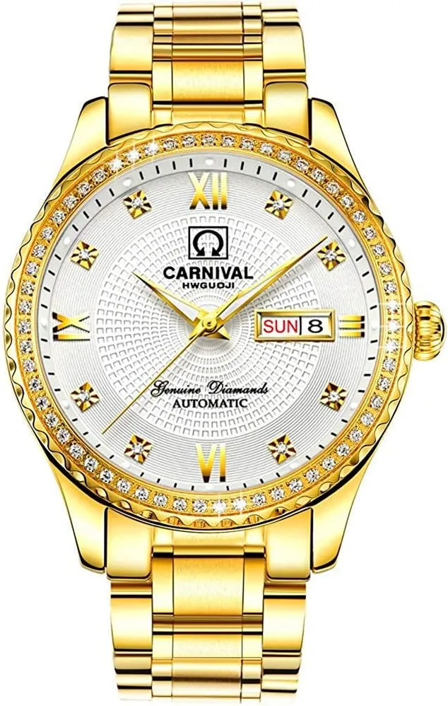 MASTOP Luxury Luminous Waterproof Watch Mens Automatic Mechanical Wrist Watch Silver Stainless Steel (CA-8629- All Gold-White)